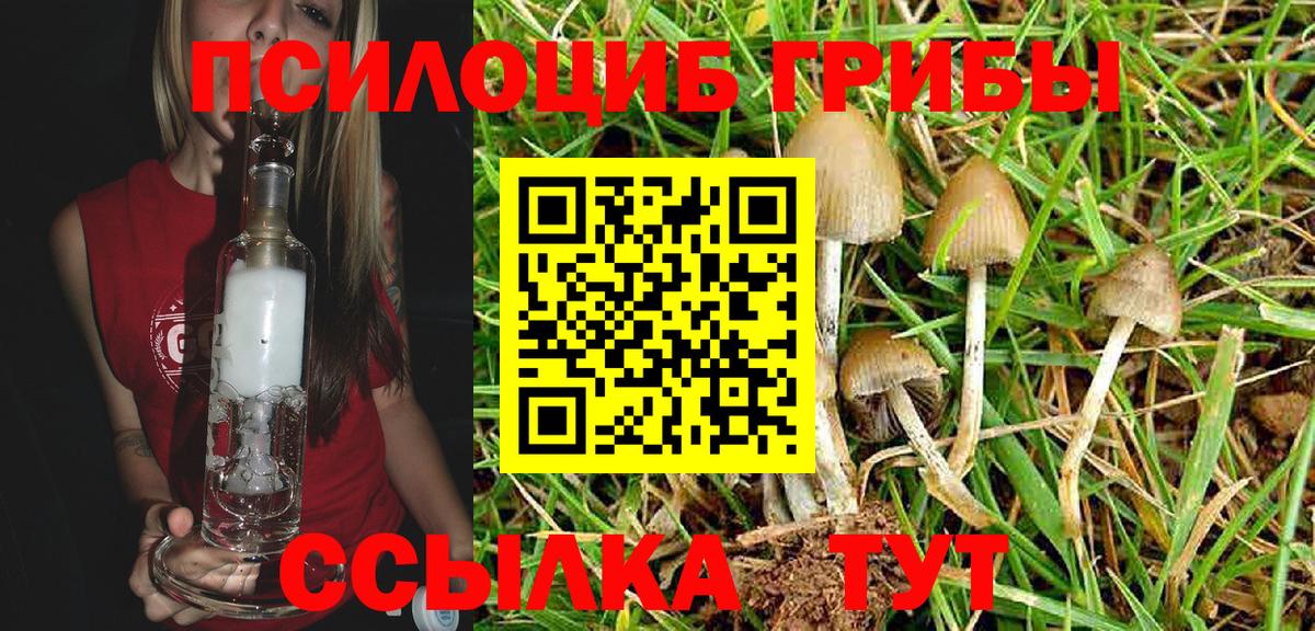 Галлюциногенные грибы Psilocybine cubensis Среднеуральск